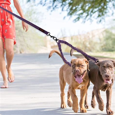 Discover the Benefits of the Dog Daddy Magic Lesh Leash